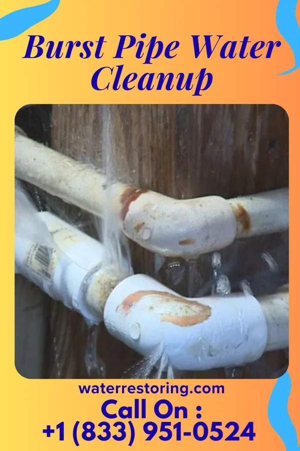 Burst Pipe Water Cleanup in Norborne, MO