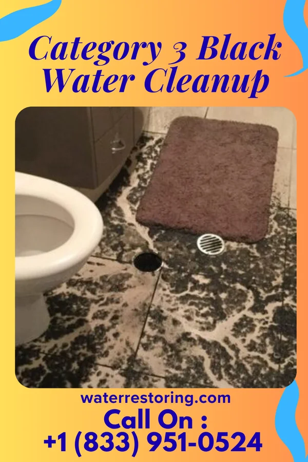 Category 3 Black Water Cleanup in Norborne, MO