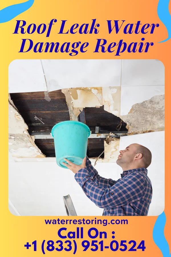 Roof Leak Water Damage Repair in Norborne, MO