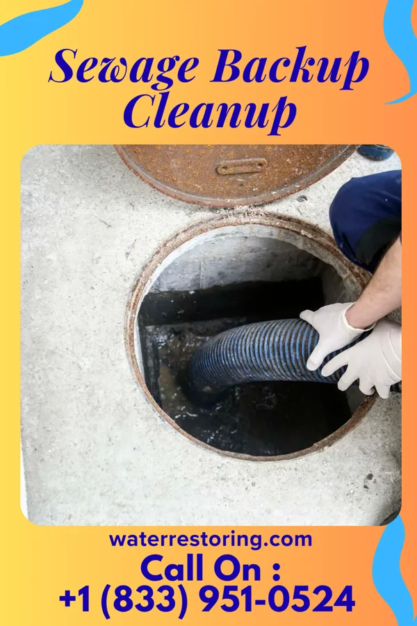 Sewage Backup Cleanup in Norborne, MO