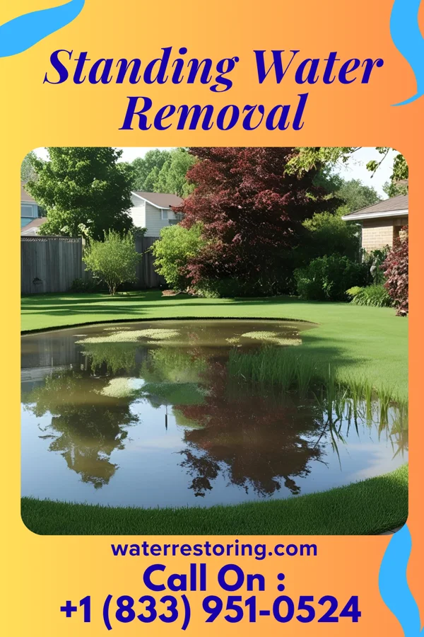Standing Water Removal in Norborne, MO